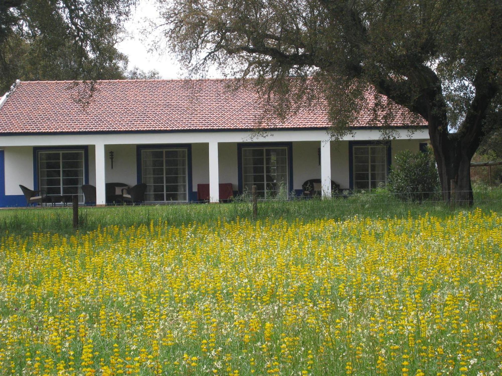 Monte Das Faias Cork Farm Hotel Grândola المظهر الخارجي الصورة