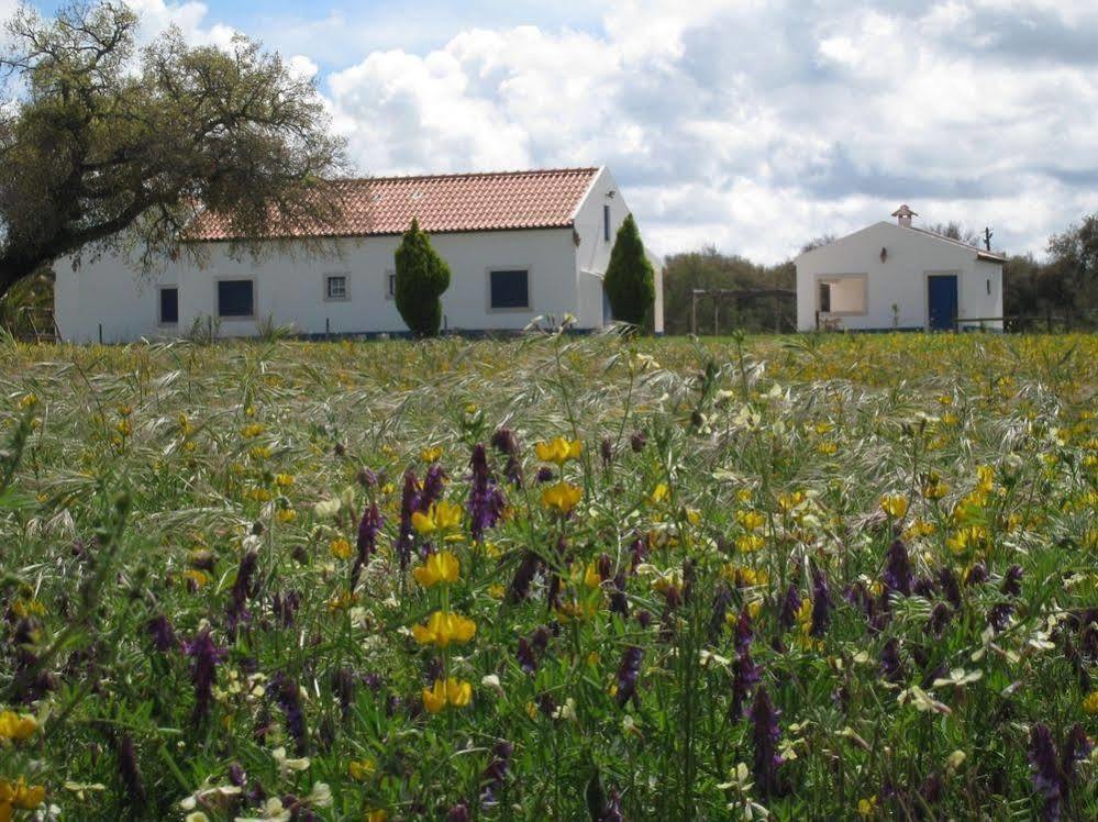 Monte Das Faias Cork Farm Hotel Grândola المظهر الخارجي الصورة