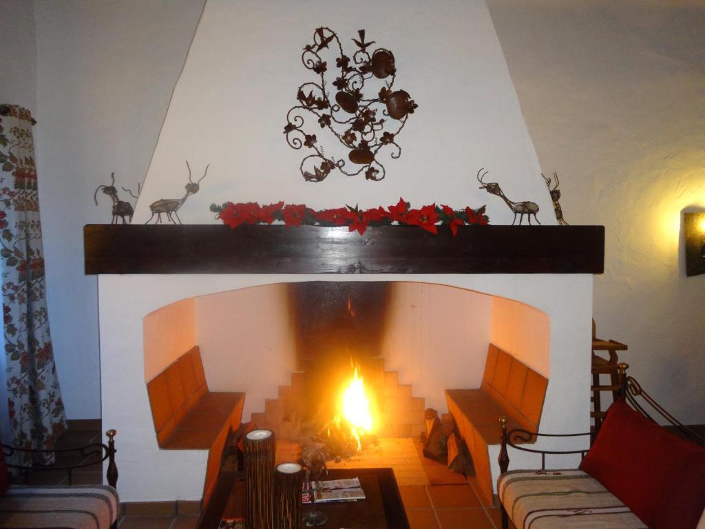 Monte Das Faias Cork Farm Hotel Grândola المظهر الخارجي الصورة